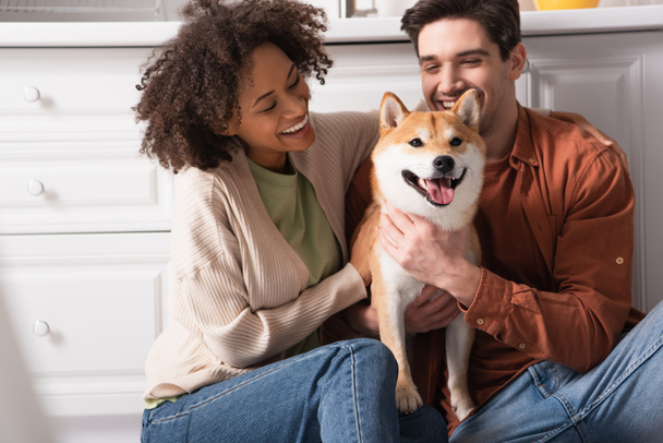 excited multiethic couple hugging shiba inu dog in kitchen - Photo, Image