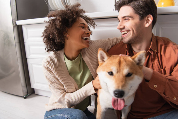 happy interracial couple looking at each other while hugging shiba inu dog in kitchen - Photo, Image