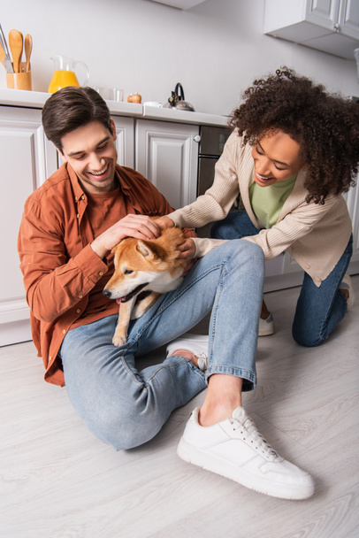 smiling man sitting on kitchen floor with shuba inu dog near happy african american girlfriend  - Photo, Image