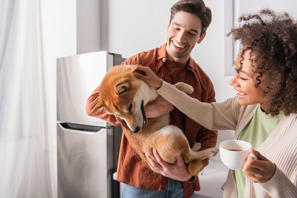 Afričanky americká žena s šálkem kávy hlazení shiba inu pes v rukou šťastného přítele - Fotografie, Obrázek