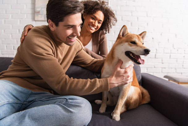 Smiling man petting shiba inu dog near blurred african american girlfriend in living room  - 写真・画像
