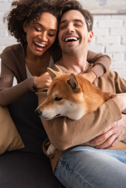 Blurred man hugging shiba inu dog near african american girlfriend at home  - 写真・画像