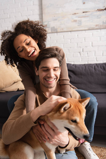 Positive multiethnic couple petting blurred shiba inu near couch at home  - 写真・画像