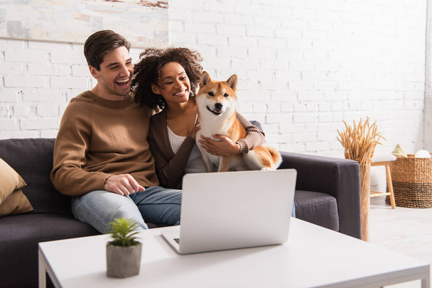 Positive interracial couple looking at shiba inu near laptop in living room - Photo, Image