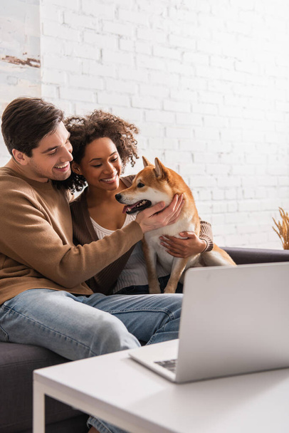 Smiling man touching shiba inu near african american girlfriend on couch and laptop in living room  - Φωτογραφία, εικόνα
