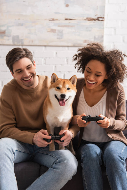 KYIV, UKRAINE - DECEMBER 22, 2021: Positive interracial couple playing video game and looking at shiba inu at home  - Fotó, kép