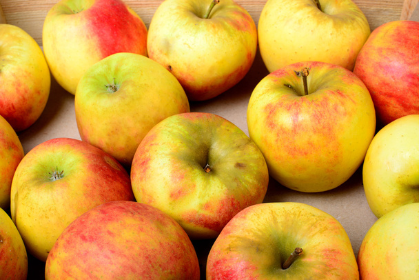 μήλα να μηλίτη - Φωτογραφία, εικόνα