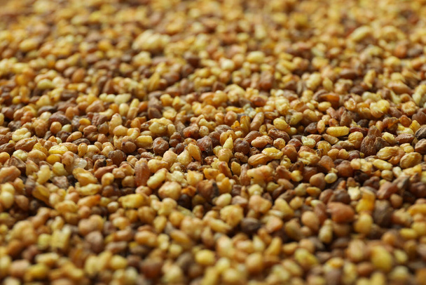 semi di tè di grano saraceno su tutto lo sfondo, primo piano - Foto, immagini