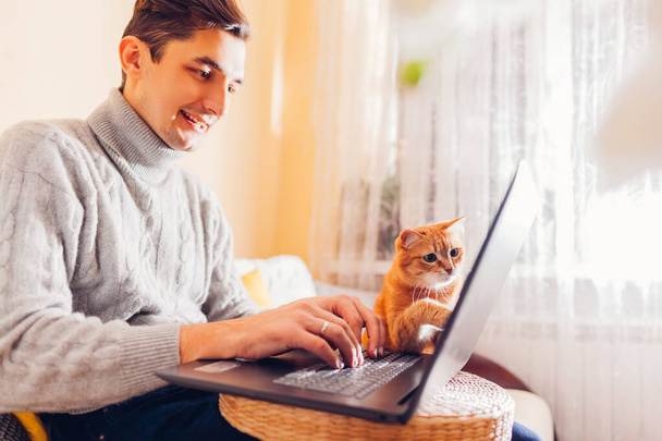 Working online from home with pet using computer. Man typing on laptop holding ginger cat looking at screen and touching it with paw. Freelance during coronavirus covid lockdown - Photo, image