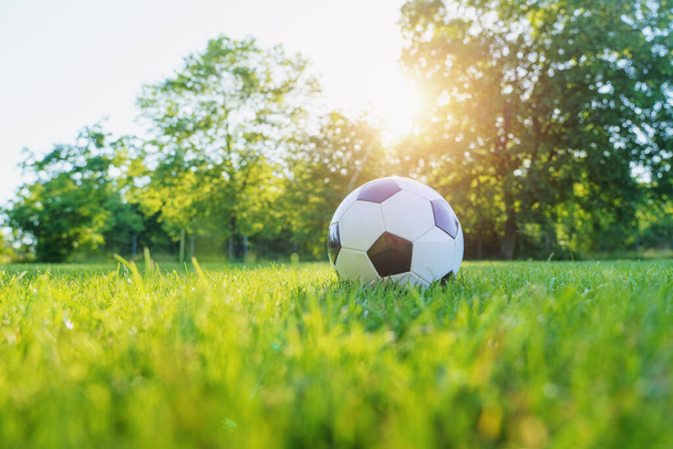  Traditional soccer ball on soccer field  - Фото, изображение