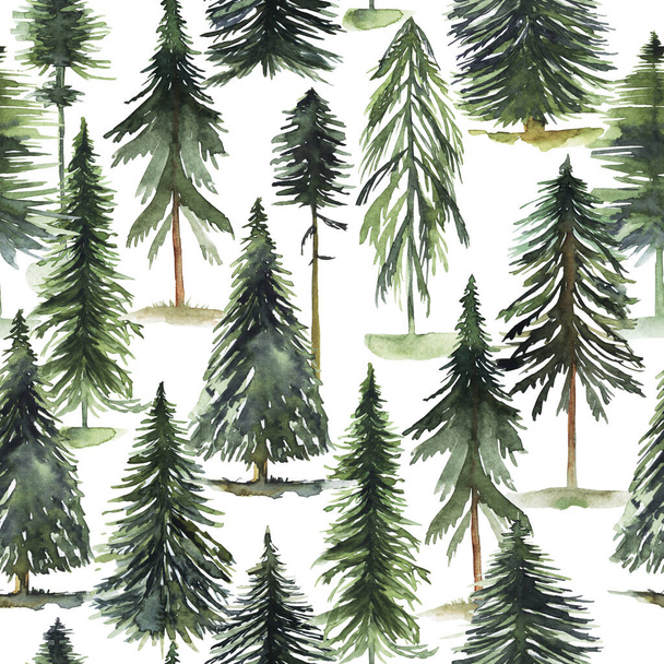 Seamless pattern with watercolor pine trees and spruces, hand drawn on white background - Photo, Image