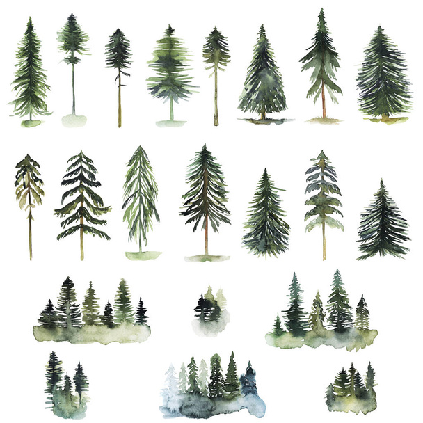 Sammlung von Aquarell-Nadelbäumen, Kiefern und Tannen, handgezeichnete isolierte Illustration auf weißem Hintergrund - Foto, Bild