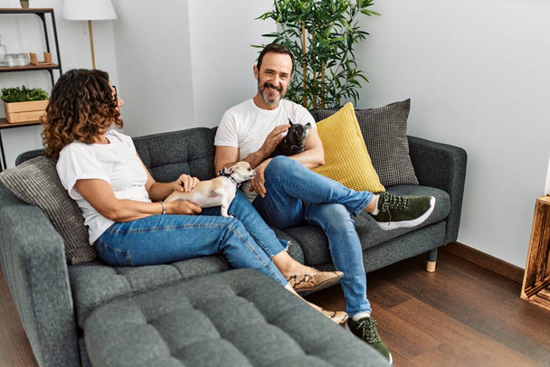 Latynoska para w średnim wieku uśmiecha się szczęśliwa siedząc na kanapie z psami w domu. - Zdjęcie, obraz