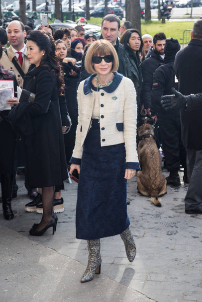 Anna Wintour arrives at the Chanel show as part of the Paris Fashion Week Womenswear Fall/Winter 2016/2017 on March 8, 2016 in Paris, France. - Fotoğraf, Görsel