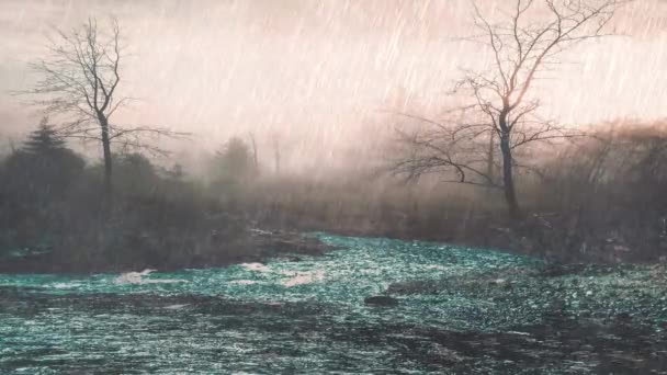 ビデオ美しい雨-雨は熱帯雨林の湿地に降る - 映像、動画