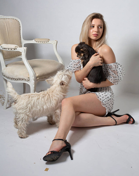 Young woman with blonde hair and white skin isolated on grey with two small dogs - Foto, Imagem