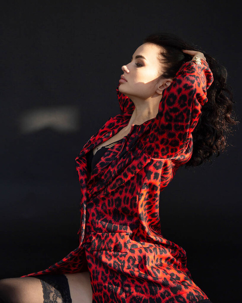 Young dark haired woman with white skin on dark background in leopard print clothes with black stockings - Foto, Imagem
