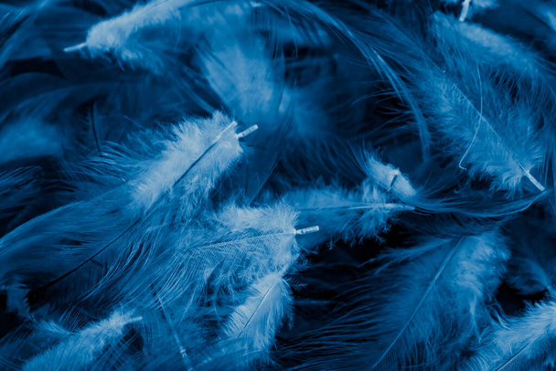 Makrofoto von blauen Hühnerfedern. Hintergrund oder Textur - Foto, Bild