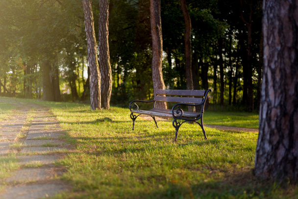 bench in the autumn park - Photo, Image