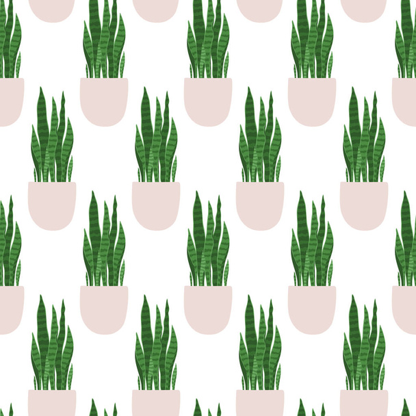 Sansevieria. Vektornahtloses Muster einer Zimmerpflanze im Topf auf weißem Hintergrund. - Vektor, Bild