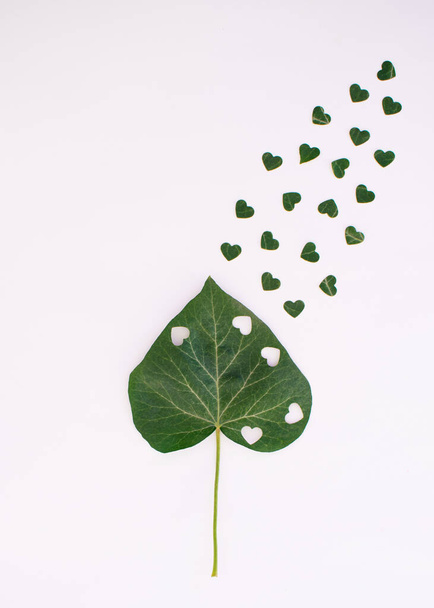 Heart leaf with small hearts coming out of it. Flat lay copy space idea. Valentine aesthetic design concept - 写真・画像