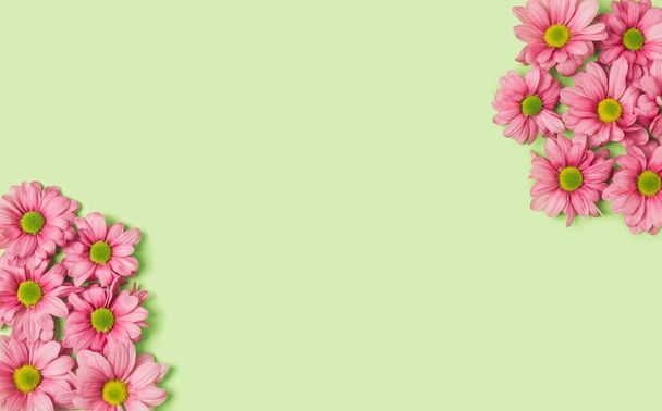 Plantilla de flores rosadas sobre un fondo verde pastel. Primavera mínimo plano laico. - Foto, imagen