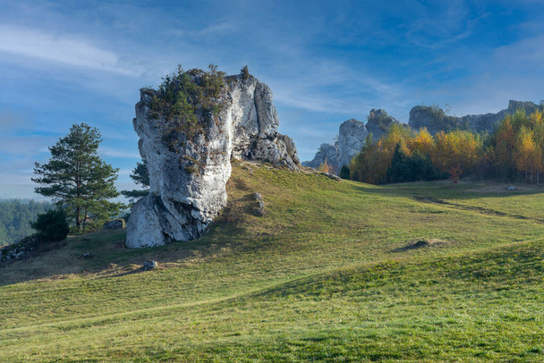 Polonya 'da kireçtaşı taşları Mirow yakınlarında Jura Krakowsko-Czestochowska. - Fotoğraf, Görsel