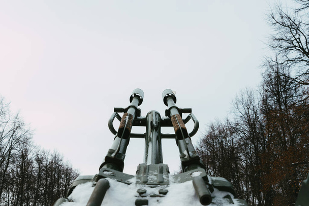 Place Ryazan du monument à la confrérie soviéto-polonaise d'armes - Photo, image