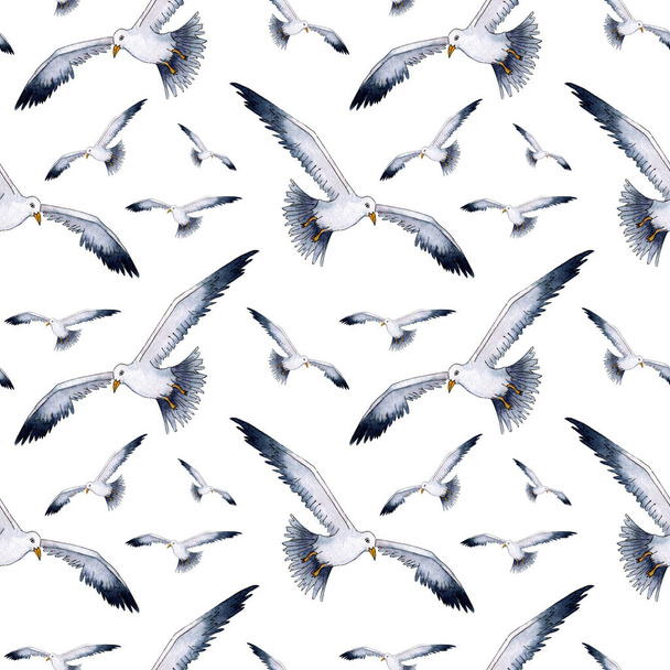 Watercolor drawing pattern of a realistic seagull. Seamless repeating print of stylized seagulls. Nautical background with minimalist ornament. Sea life, flying birds. Isolated on white background. - Vector, Image