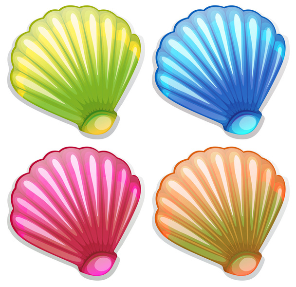 Colourful shells - Vektor, obrázek