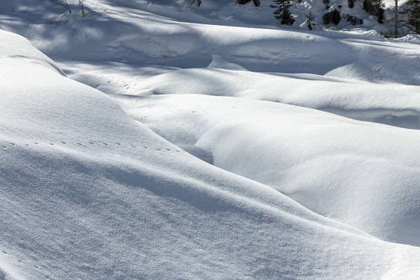 Sappada vue en hiver, Italie  - Photo, image