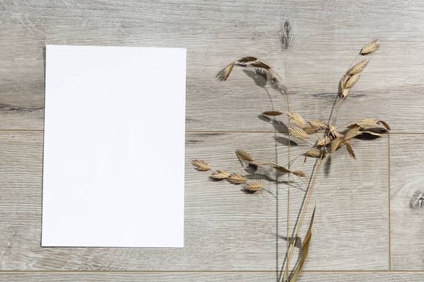 Blank paper business cards with mockup copy space on rye, wheat stalks on beige background. Minimal business template. Flatlay, top view. - Foto, imagen