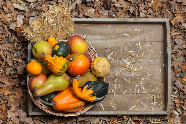 Autumn fruits - Fotoğraf, Görsel