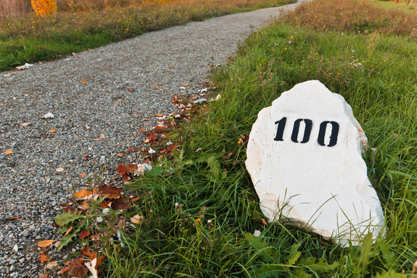Миля камень в траве рядом с дорогой
 - Фото, изображение