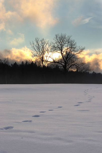 footprints in the snow leading to the horizon winter landscape, colorful clouds, dusk - Foto, Imagem