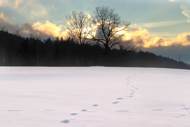 Fußspuren im Schnee, die zum Horizont führen Winterlandschaft, bunte Wolken, Dämmerung - Foto, Bild