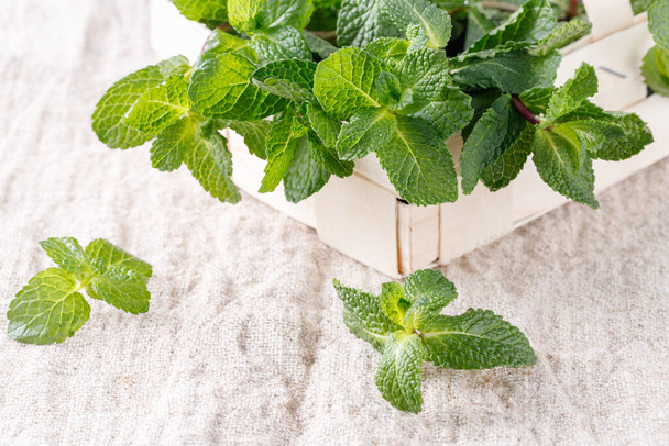 Fresh mint bunch in wooden basket on linen background. Aromatic green peppermint foliage as kitchen spice or ingredient of herbal natural cosmetics or homeopathy medicines  - Fotó, kép