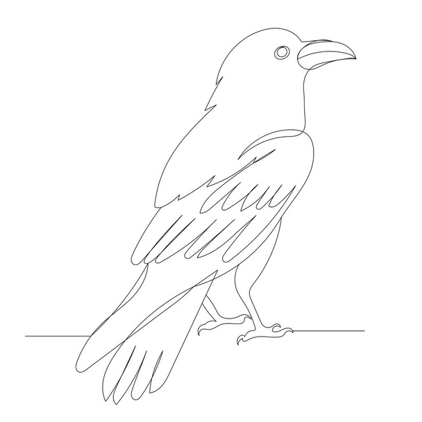 corvo, corvo disegnato in una linea continua, vettore, isolato - Vettoriali, immagini