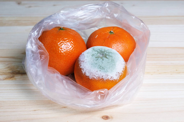 Pomarańcze, mandarynki z pleśnią w plastikowej torbie. Niewłaściwe przechowywanie produktów. Koncepcja - redukcja odpadów organicznych, nowe życie. - Zdjęcie, obraz