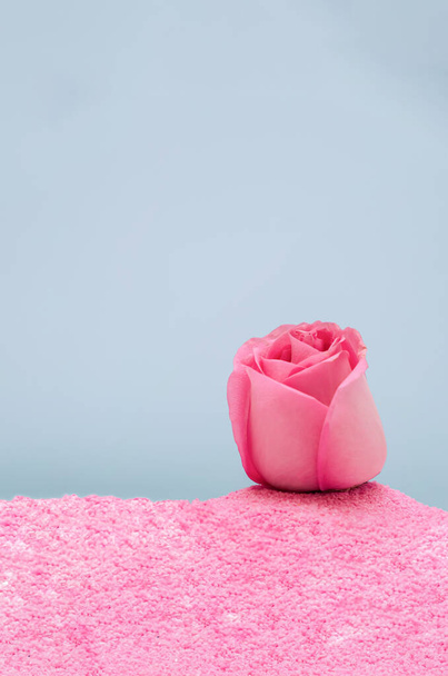 Minimal Valentine concept with pastel pink rose in sand. Trendy aesthetic. - Photo, Image