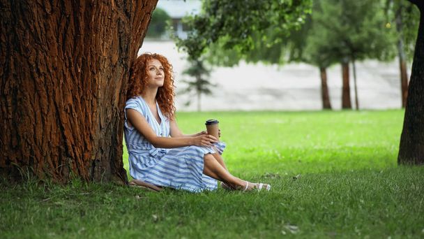 full length of dreamy redhead woman in dress sitting under tree trunk and holding paper cup  - Foto, imagen