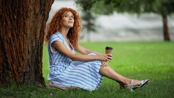 donna rossa sognante in abito blu seduto sotto il tronco d'albero e tenendo il caffè per andare  - Foto, immagini