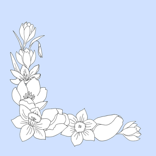 Corner template frame for a festive design from a bouquet of flowers narcissus, tulip, crocus, snowdrop. - Vektor, Bild