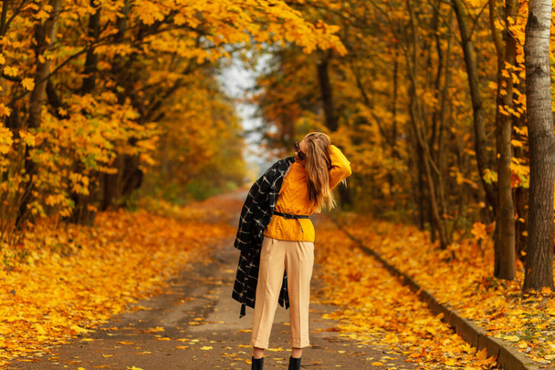 Hermosa mujer joven con pelo en ropa de otoño de moda mira con suéter de punto, vestido negro y pantalones camina en un parque con follaje de otoño amarillo - Foto, imagen