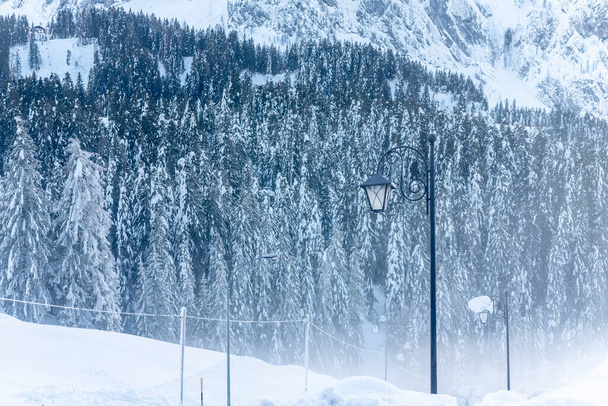 Cold and snowy winter. Sappada Dolomites view - Fotó, kép