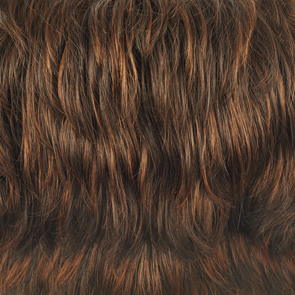 Fragmento de cabelo
 - Foto, Imagem