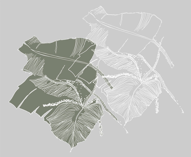 Abstract leaf vector vision in grey - Vettoriali, immagini