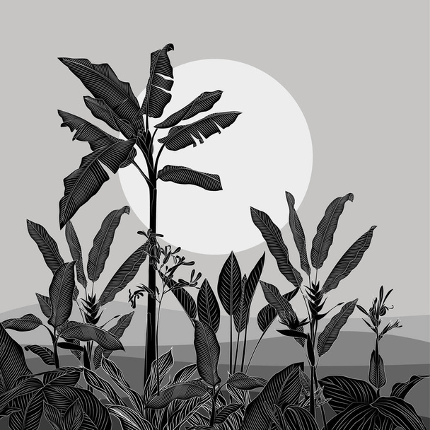 Night in the jungle landscape illustration - Vector, Image