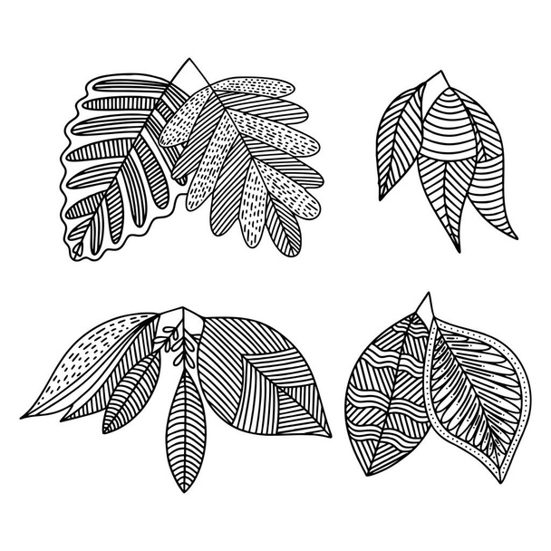 Set of hand drawn plant leaves. Vector doodle style. - Vektor, kép