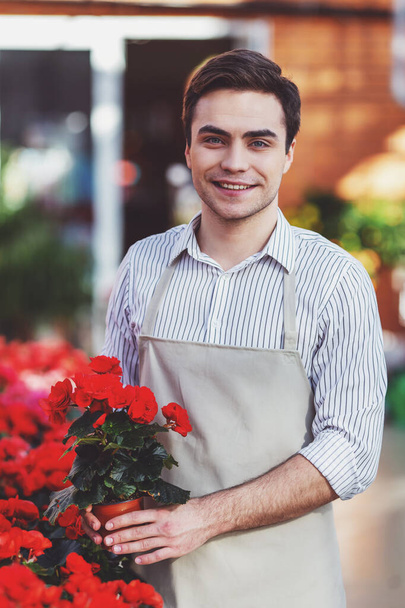 Guapo joven en delantal está sosteniendo una planta, mirando a la cámara y sonriendo mientras está de pie en la naranjería
 - Foto, Imagen